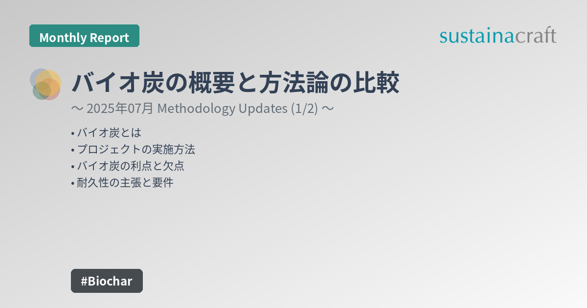 バイオ炭の概要と方法論の比較