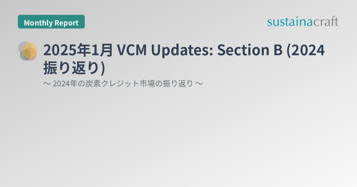 2025年1月 VCM Updates: Section B (2024振り返り)