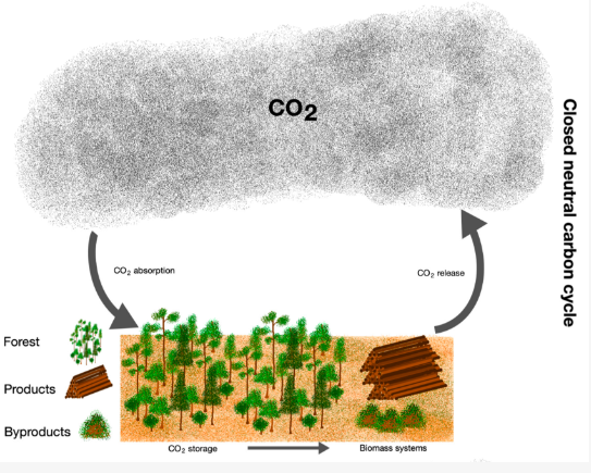 REDDプロジェクトの考え方