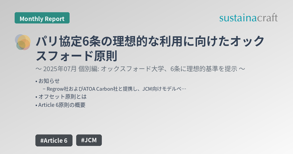 パリ協定6条の理想的な利用に向けたオックスフォード原則