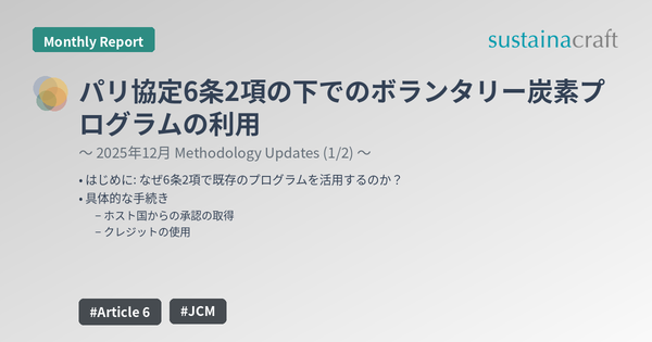 パリ協定6条2項の下でのボランタリー炭素プログラムの利用