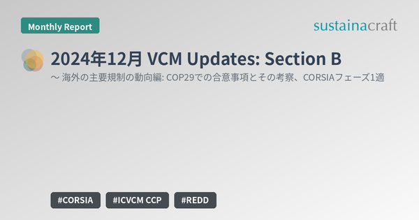 2024年12月 VCM Updates: Section B