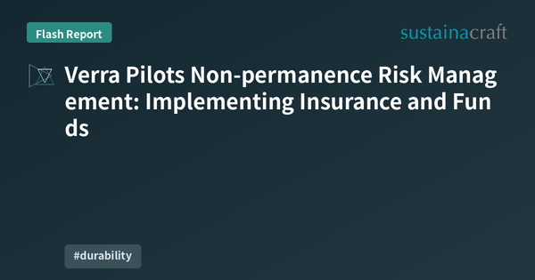 Verra Pilots Non-permanence Risk Management: Implementing Insurance and Funds